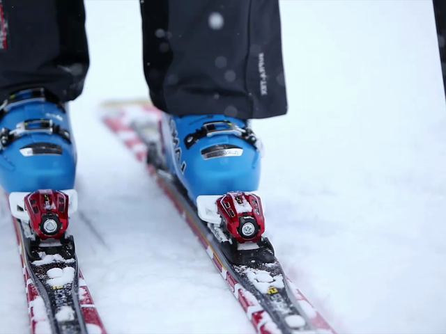 Cross-country and cross-country ski rentals